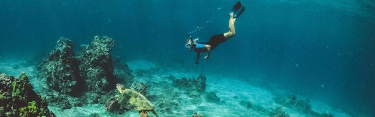 Scuba Diving Charter in  Boyton Beach